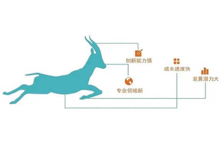 老版新葡萄8883官网版通过2022年度山东省瞪羚企业评审